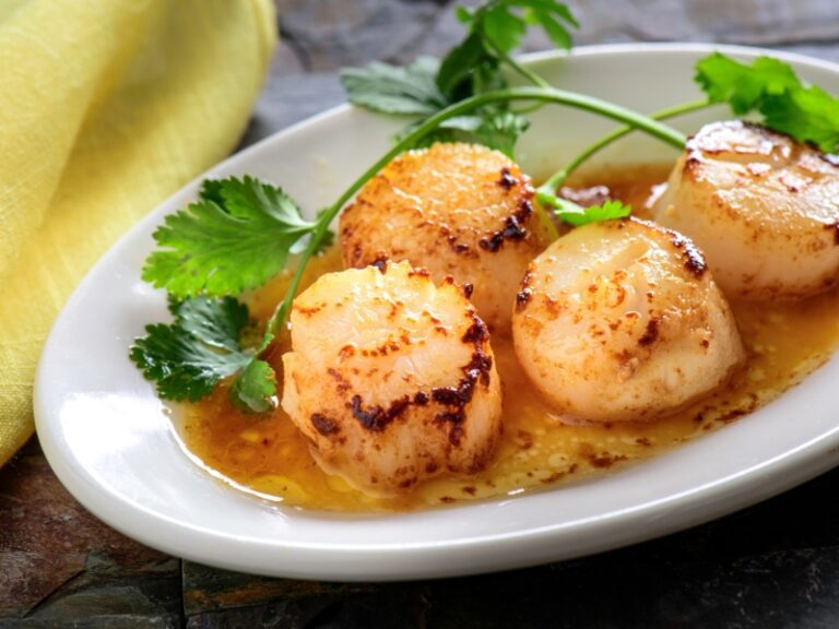 scallop