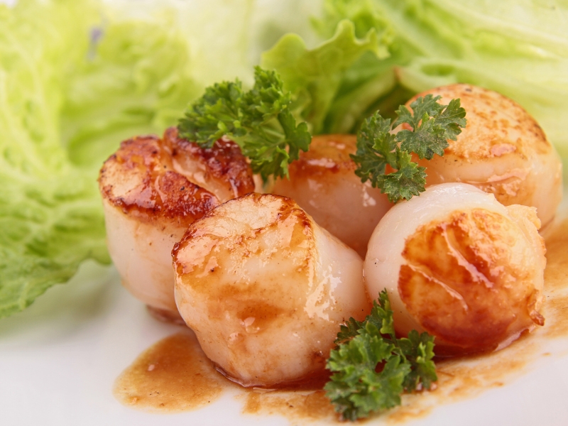 Scallop Sauce